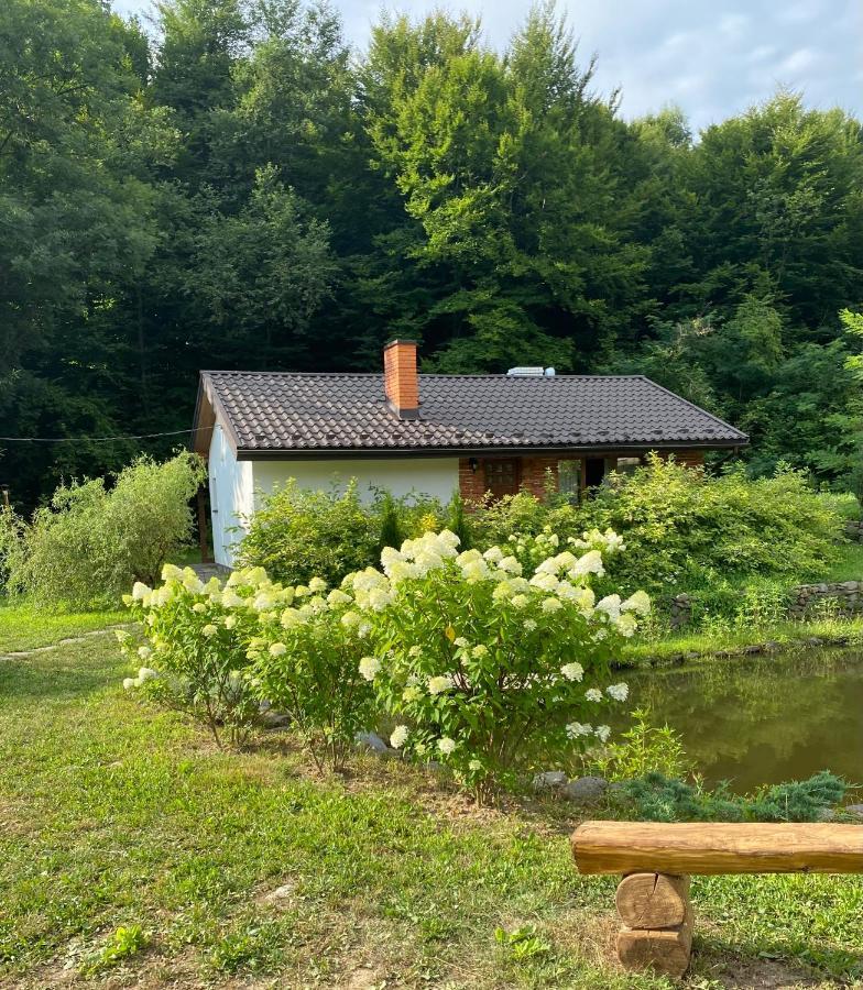 Holiday Home Usadba Novoselitsa Novoselitsa  Exterior foto