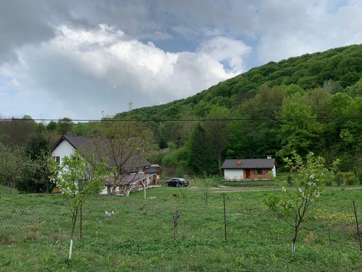 Holiday Home Usadba Novoselitsa Novoselitsa  Exterior foto
